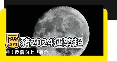 1971屬豬2024運勢|2024屬豬幾歲、2024屬豬運勢、屬豬幸運色、財位、禁忌